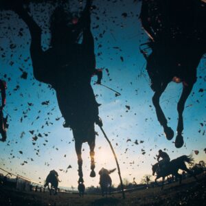 Horse Racing